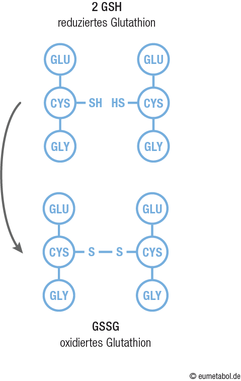 Glutathion Strukturformel